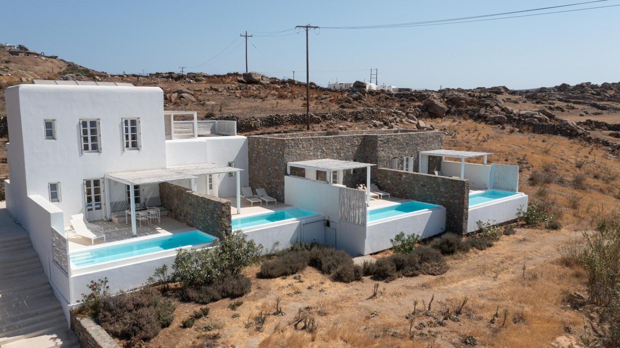 The Ammonite 4*